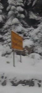 TREBEVIC -ljepota ❄️ #viral #trending