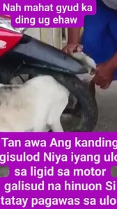 Kamao gni ka mgpasulod kamao pud ka pagawas unta ding maahat nlng jud ug ehaw | Roldine Vlogs