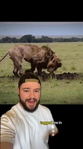 This Lion Is Digging Its Own Grave… 💀 | IdkSterling