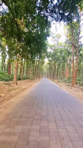 kushmi jungle gorakhpur . . . . #reels #reelsinstagram #trending #trendingreels #trendingsongs #view#mrng #viewforview #road #roadtrip #so#beautiful #natural #naturalphotography #naturelovers #jamshedpurians #jamshedpurreel #explore #foryou #go #viral #viralreels #viralvideos | Nature view
