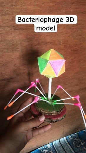 Simple 3D model of BACTERIOPHAGE #bacteriophage #science #studentlife #scienceproject #foryou #fyp