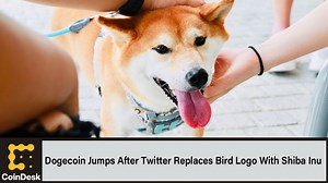 Dogecoin Jumps After Elon Musk Replaces Twitter Bird Logo With Shiba Inu - The Global Herald
