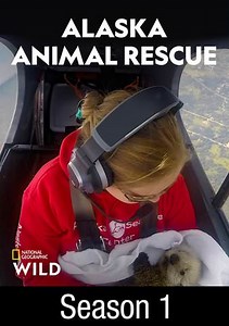 Alaska Animal Rescue: The Naughty Otter