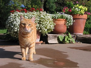 22 reactions | Trimble spa and Natural Hot Springs | Durango Hot Springs Resort and Spa | Facebook