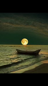 52 reactions | J'ai pas les mots  | In the Deep Dz | Facebook