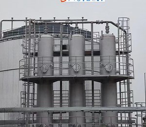 [Hot Item] Biogas H2s Removal Tank for Desulfurization in Biogas Plant