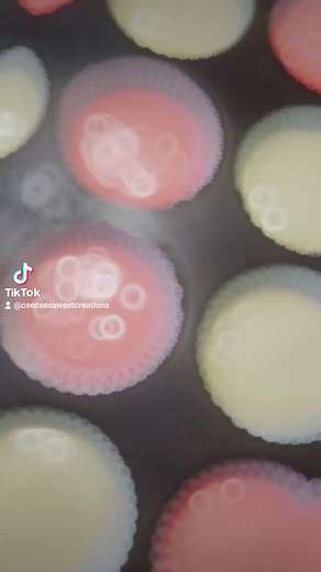 Tori takes 21! Everyone show her some birthday love! #kcsfavbaker | Cee-Cee's Sweet Creations | Facebook