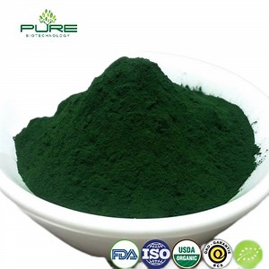 [Hot Item] Pure Chlorella Powder - Nutrient-Rich Superfood for Energy