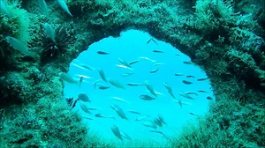 NC Aquarium on Roanoke Island on Reels | Facebook