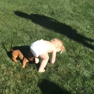 Dog Pulls at Toddler's Diaper