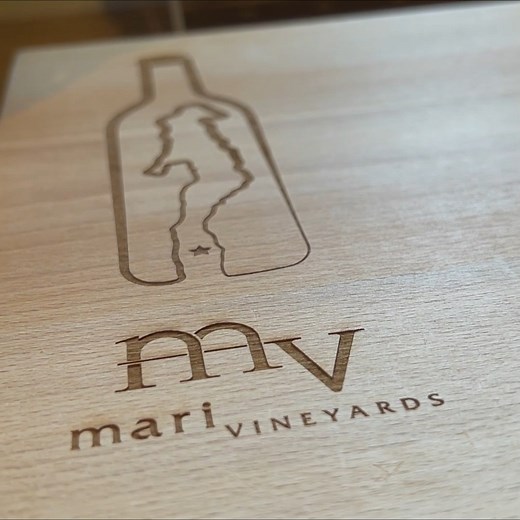 Mari Vinyards in Traverse City, Michigan #travelblogger #fyp #fypシ゚ #fypシ | Cody & Kellie