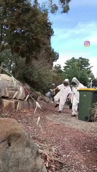 6.1K views · 146 reactions | Halloween as a beekeeper .... the costumes is sorted... Who you gonna call?? Beekeeper! #Halloween #beekeeper | Mademoiselle Bee | Facebook