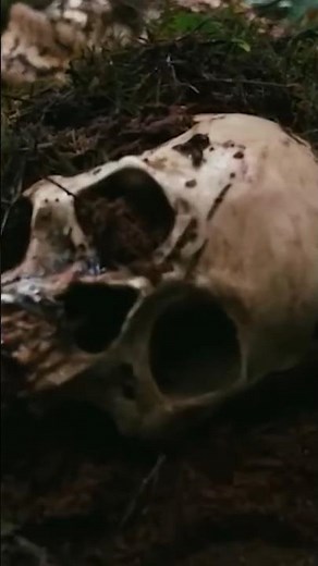 Big Legend | Teaser | Bigfoot Horror Movie