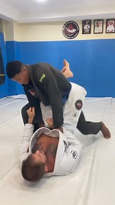 DOJO Dragon on Reels