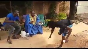 Yèlèbougou CLABA le vieux père, force tranquille Mort de Rire haha | ACTUMALI-RAP