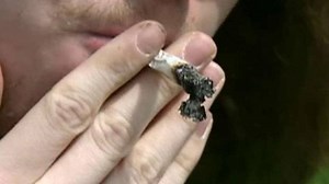 Federal government rejects petitions to reclassify pot