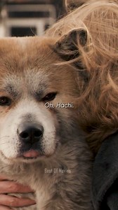 I'm not crying, you're 😢🤧 Richard Gere said "These are not the kind of dogs you can buy with treats, they either like you or they don't. An Akita makes a connection or it doesn't. Akitas are very discerning and particular dogs and the trainers were very apprehensive about me meeting the dogs because these dogs make up their mind right away and if they don't like you, there is no going back." 🎬 Hachi: A Dog's Tale (2009) 🎥 Lasse Hallström Drop a heart ❤️ in the comments if you love this movie