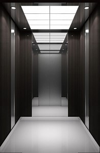 [Hot Item] Home Lift Passenger Elevator with Customized Cabin