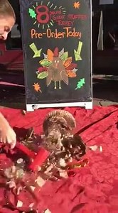 Turkey Smash Competition! One first place Winner, with the best turkey smash video, will receive a free giant turkey during Thanksgiving 2016! All participates who: 1. Purchase a giant turkey https://www.gayleschocolates.com/chocolate-party-turkey-with-constant-craving-stuffing and post before November 27th, 2015. 2. Tag Gayle's Chocolate in their video via Facebook or Instagram smashing one of our GIANT chocolate turkey's (video must be accessible to the public, no private accounts) 3. Hashtag 