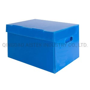 [Hot Item] Polypropylene Corrugated Archive Box Correx File Storage Box