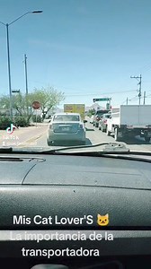 Mis Cat Lover'S 😻 Empezamos con la repartición de gatitos para que no queden en la calle 🐈 Y por favor sean responsables y utilicen transportadoras para llevar a sus mishis a las veterinarias pueden evitar muchos accidentes. @fans destacados #EllosTambienSonFamilia #seguidoresfollow #catlovers #gatito #virals #seguidoresfacebook #foryoupageviralシ゚シ #catfamily #Todos #PorLosQueNoTienenVoz | Cat Family