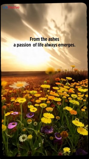 Passion ignites life #passion #life #spirituality #personal_growth www.lifepositive.com | Life Positive