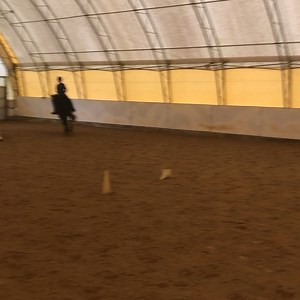 92 reactions · 3 comments | Fun way to teach your horse extend the...