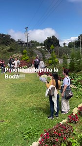 10K views · 45 reactions | Mi Refugio - Hortensias & Eucaliptos on Reels | Facebook