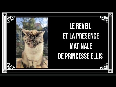 #11: La Vie Secrète de Princesse Ellis : Le Réveil et la Présence matinale de Princesse Ellis