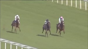 50K views · 1.2K reactions | "He might just have a touch of star quality about him..." - his widest margin win and a first glimpse of his extraordinary ability - Happy 11th Birthday, Frankel! | At The Races | Facebook