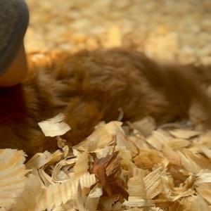 Camp Greystone on Reels