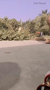 79K views · 2.1K reactions | Koi na koi chahiye #viral #viralreels #FacebookReelsContest #facebook | Doly Prasad | Facebook