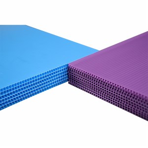 [Hot Item] PP Hollow Sheet for Concreting Structure and Package