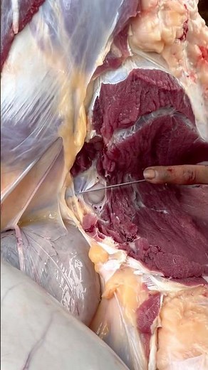Cow's meat slicing skills #meatslicing #meatcuttingtechniques #meatmarket