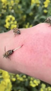 The Most Unbelievable Coincidences Ever Recorded! 🤯✨ | Crater Swag