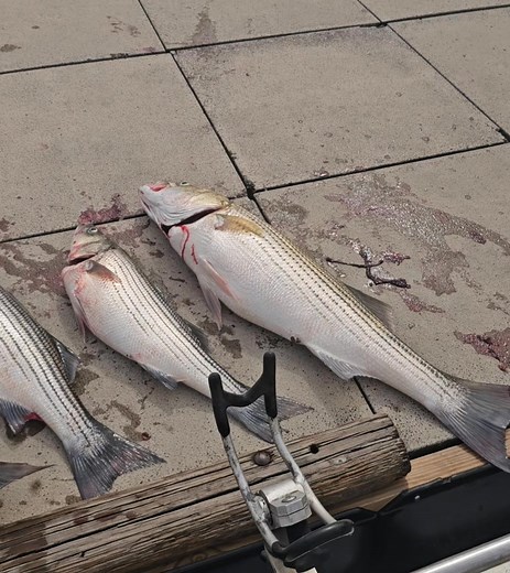 Hooked On Fishing, LLC on Reels