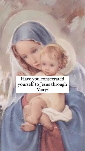 5.9K views · 847 reactions | ~ ᴛᴏ ᴊᴇsᴜs ᴛʜʀᴏᴜɢʜ ᴍᴀʀʏ ~ St. Louis de...