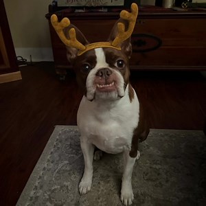 7.4K views · 1.4K reactions | Medical updates | Gabby Girl & Princess Willow | Facebook