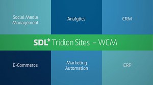 SDL Tridion Sites offers global brands "superb enterprise tech stack...