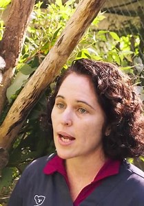 Nature's Hidden Miracles S01:E03 - Microorganisms, the Invisible Ruler