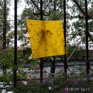 [Hot Item] Wholesale Eco-Friendly Yellow Insect Sticky Traps