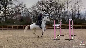 My Queen ❤️ As always the biggest thank you to Katie for the tune up. 🎄❤️🎄 | Armstrong Equine