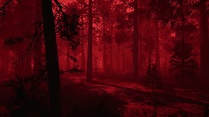 Red Foggy Dark Forest Background: стоковое видео (без лицензионных платежей), 1100119341 | Shutterstock