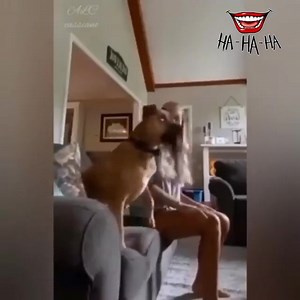 584K views · 60 reactions | 2M Views on Reels | Facebook