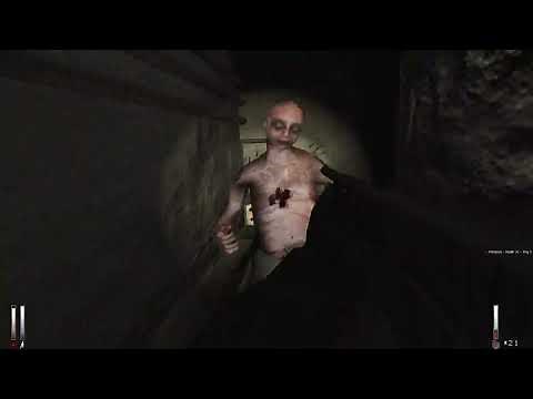 Cry of Fear: Co-op Campaign - Full Playthrough (Solo, No Commentary)