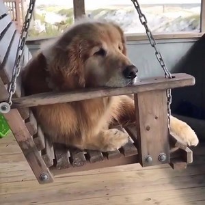 Mood | Marimba Remix