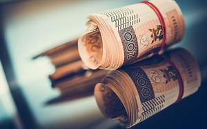 Złoty lekko w dół. Dolar odrabia straty