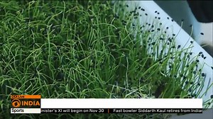 The Government of India and the #AsianDevelopmentBank (ADB) today signed a $98 million loan to improve #horticulture crop farmers’ access to certiﬁed disease-free planting materials, which will boost their crops’ yield, quality, and resilience to climate impacts. | DD India | Facebook