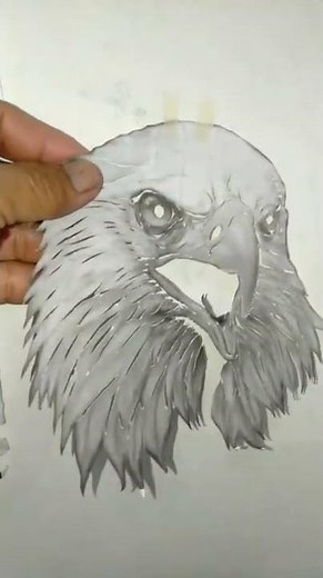 DIY EAGLE STENCIL FOR AIRBRUSH CUSTOM PAINTING...😊👍🤑