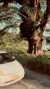 Rewa River 🇫🇯 | TOMASI RADAKUA